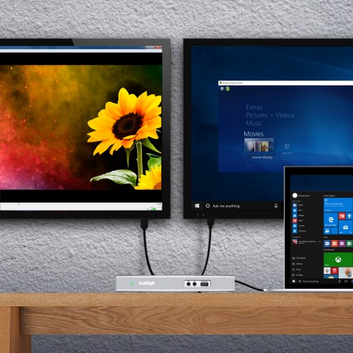 caldigit displayport not working