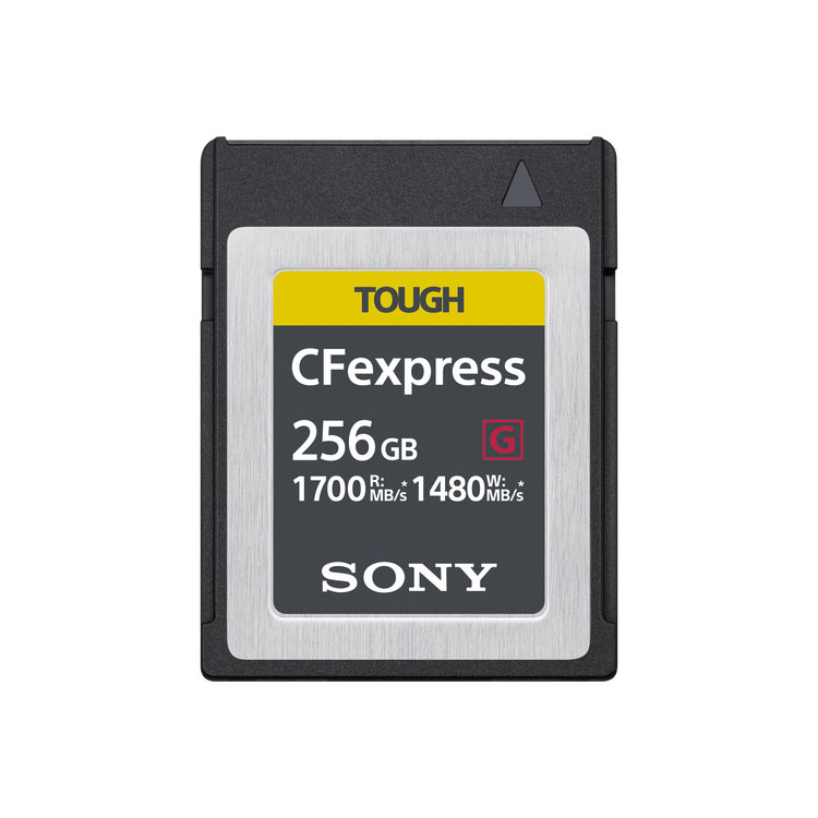 Sony CFexpress Type B - DataStores