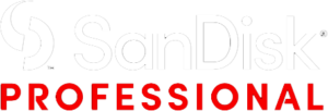 Sandisk professional logo transparent