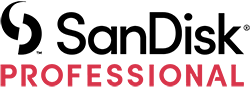 SanDisk Professional Logo 2