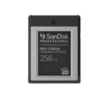 SanDisk Professional PRO-CINEMA CFexpress VPG400 Card Type B – 256GB